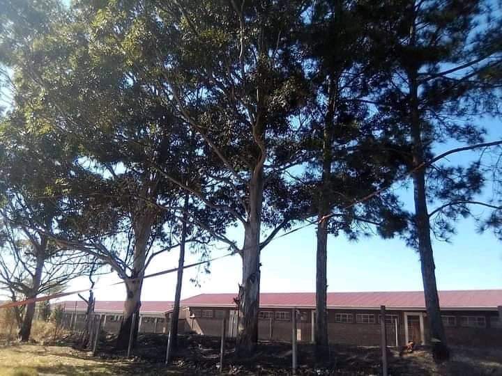 Umalusi Primary School