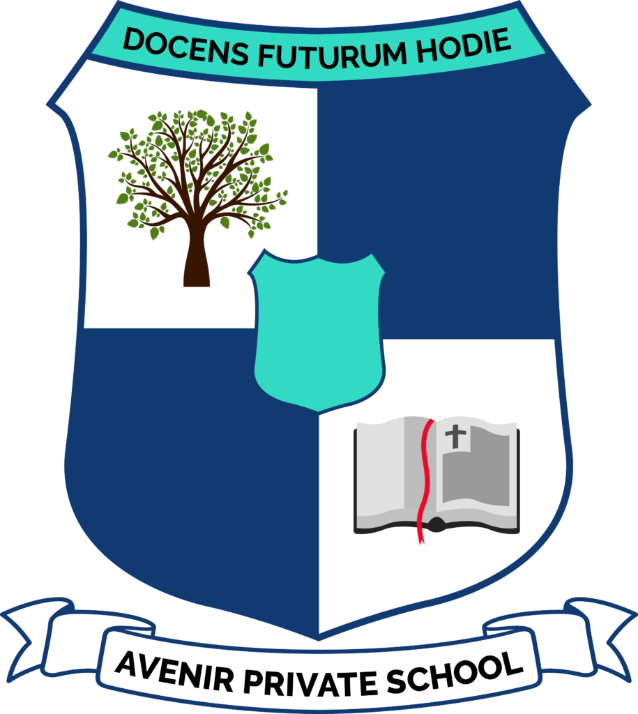 Avenir Private School