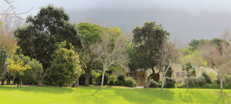 Constantia Waldorf School