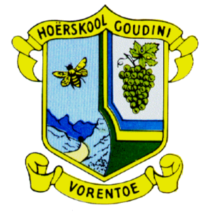 Goudini Hoërskool