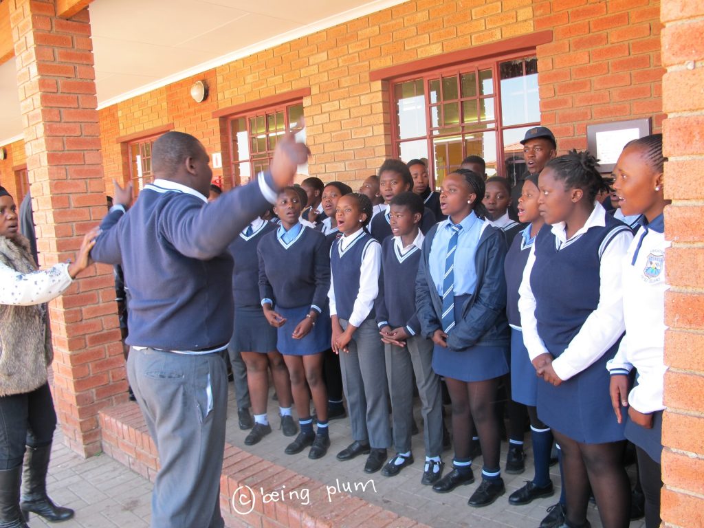 Itirele-Zenzele Comprehensive School