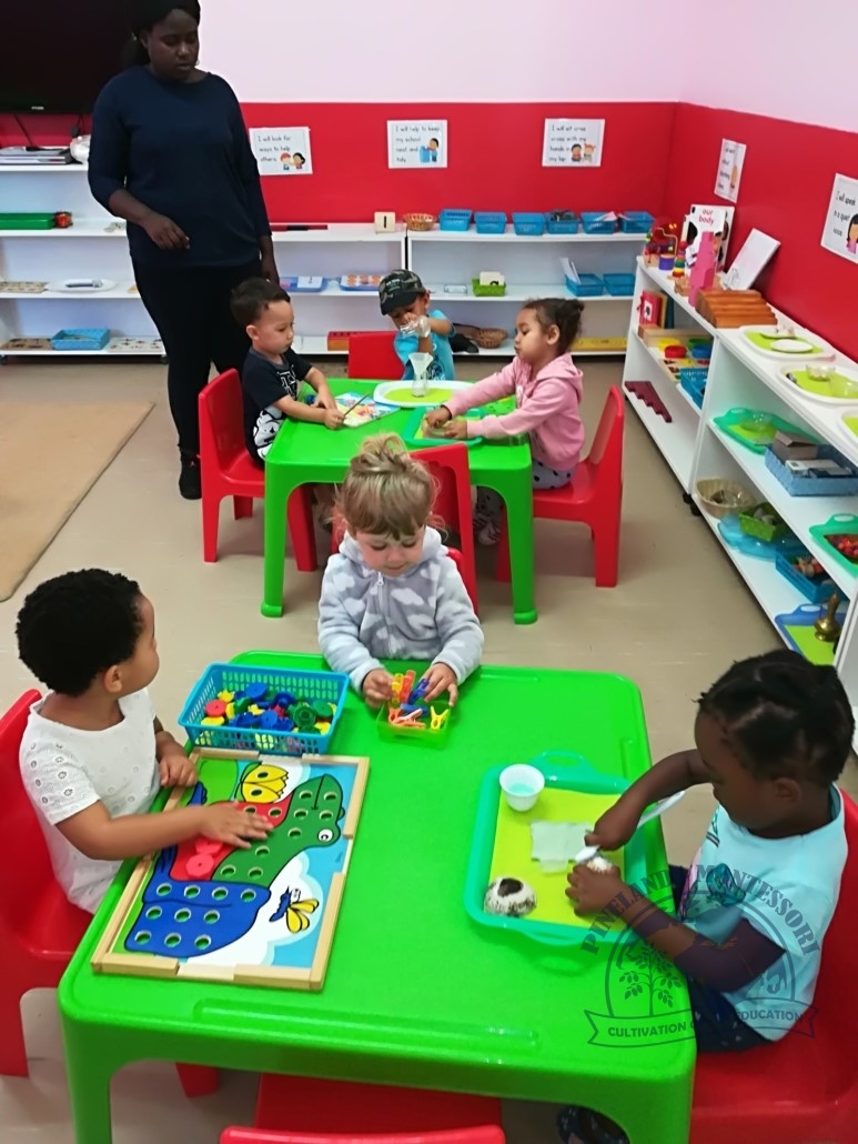 Pinelands Montessori